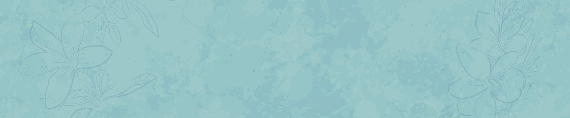 關於蘭田一路-蝴蝶蘭、蘭花品種、價格、照顧方式